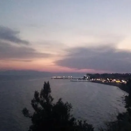 Vasilis